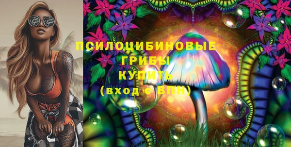 таблы Краснослободск