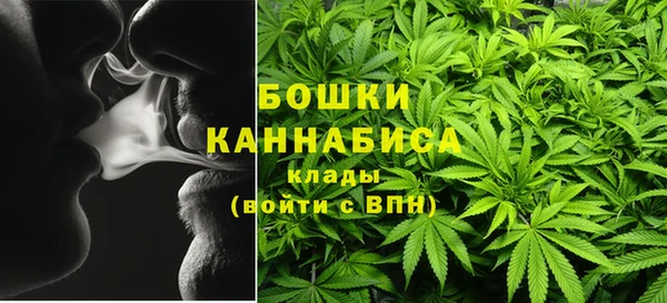сатива Корсаков