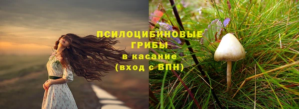 таблы Краснослободск
