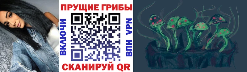 Купить закладки  Россошь  Галлюциногенные грибы мицелий 